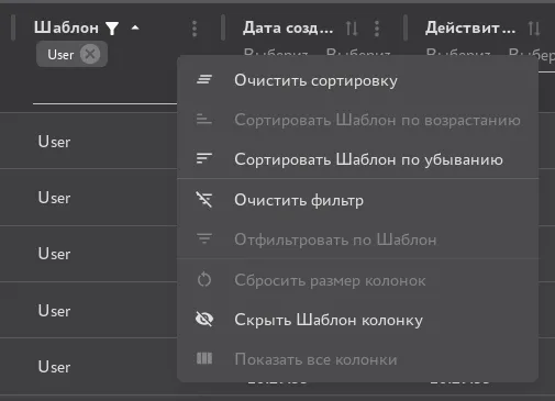 Кнопка <Очистить> фильтр