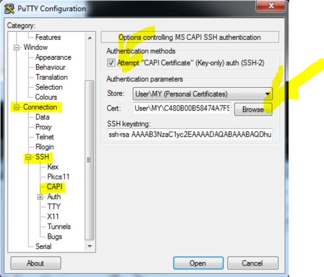 Вкладка Connection/SSH/CAPI