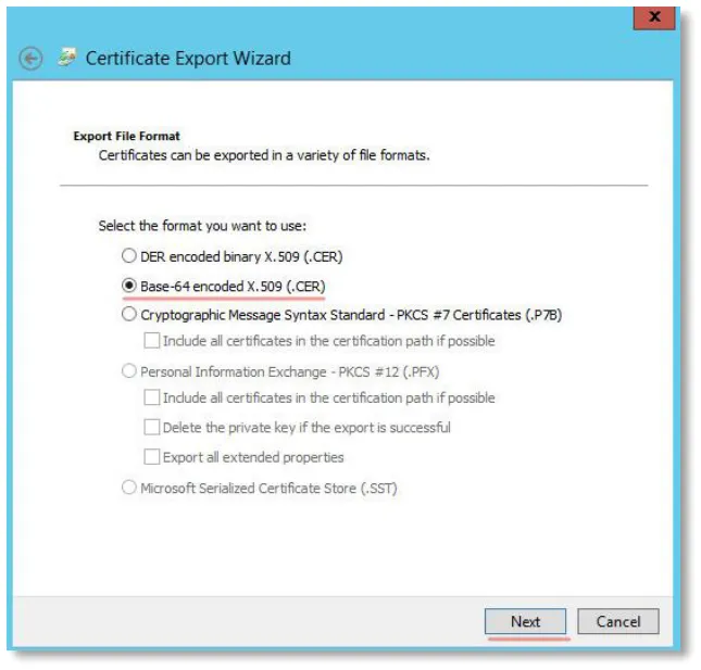 Base-64 encoded X.509 (.CER)