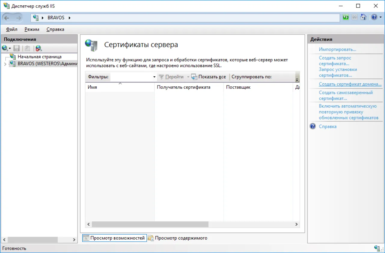 В полном имени укажите имя будущего VPN-соединения и