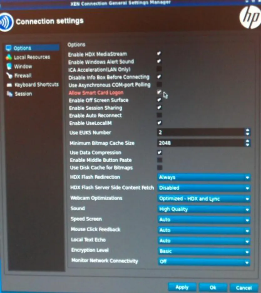 Citrix Connection
